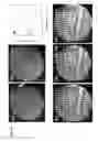 Fig. 66 - Detection of gas-phase analytes using liquid crystals