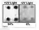 Fig. 06 - Methods and Compositions for Phototransfer