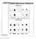 Fig. 15 - Methods and Compositions for Phototransfer