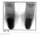 Fig. 23 - Methods and Compositions for Phototransfer