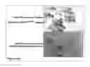 Fig. 30 - Methods and Compositions for Phototransfer