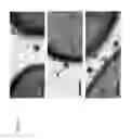 Fig. 02 - Recombinant phages and proteins