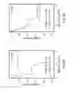 Fig. 14 - METHODS AND MATERIALS FOR IDENTIFYING AND TREATING MAMMALS HAVING LUNG ADENOCARCINOMA CHARACTERIZED BY NEUROENDOCRINE DIFFERENTIATION