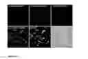 Fig. 12 - MULTILAYER FLUORESCENT NANOPARTICLES AND METHODS OF MAKING AND USING SAME