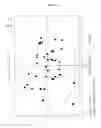Fig. 30 - METABOLIC PROFILES
