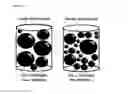 Fig. 02 - NON-HIGH DENSITY LIPOPROTEIN DERIVED CVD MARKERS