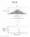 Fig. 08 - Method and apparatus for estimating state of battery