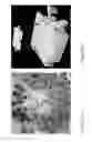Fig. 06 - METHODS AND SYSTEMS RELATING TO HIGH RESOLUTION MAGNETIC RESONANCE IMAGING