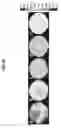Fig. 13 - Signal inhomogeneity correction and performance evaluation apparatus
