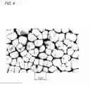 Fig. 05 - Radiological image conversion panel, method of manufacturing the same, and radiological image detection apparatus