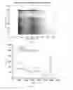 Fig. 06 - Method and apparatus for processing signals of semiconductor detector