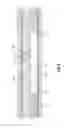 Fig. 03 - Downhole fluid composition sensing