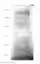 Fig. 17 - Composition for light diffusion film, and light diffusion film