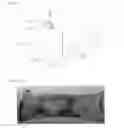 Fig. 02 - Thin polarizing plate and method of manufacturing the same