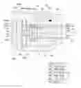Fig. 01 - BACKLIGHT UNIT