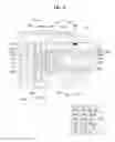 Fig. 15 - BACKLIGHT UNIT