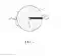 Fig. 03 - Product having a luminous surface provided by a light guide