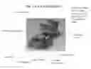 Fig. 01 - Lens assemblies and actuators for optical systems and methods therefor