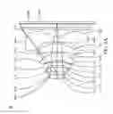 Fig. 11 - Optical image capturing system