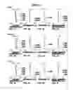 Fig. 10 - Zoom lens and imaging apparatus