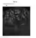 Fig. 14 - Rapid confocal microscopy to support surgical procedures