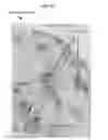 Fig. 18 - Rapid confocal microscopy to support surgical procedures