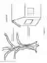 Fig. 71 - See-through computer display systems