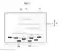 Fig. 08 - PHOTOALIGNMENT FILM, METHOD FOR MANUFACTURING THE SAME, AND LIQUID CRYSTAL DISPLAY PANEL INCLUDING THE SAME