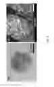 Fig. 07 - Method for controlling flow localization in machining processes