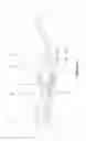 Fig. 07 - Hand motion-capturing device with force feedback system