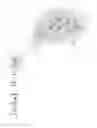 Fig. 07 - HEURISTIC PALM DETECTION