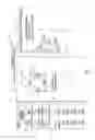 Fig. 07 - Multi-Format Editors