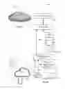 Fig. 03 - AUGMENTED REALITY DOLL