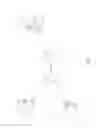 Fig. 02 - Optimized execution of dynamic languages