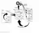 Fig. 01 - Dynamic determination of application server runtime classloading