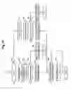 Fig. 22 - Storage apparatus and storage apparatus migration method