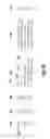 Fig. 06 - Font loading system and method