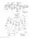 Fig. 04 - Social files