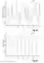 Fig. 11 - Generating synthetic data