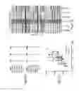 Fig. 27 - Multiplex analysis of molecules in single cells by image correlation
