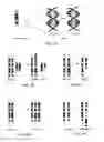Fig. 04 - Evaluating genetic disorders