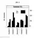 Fig. 06 - SUBTYPING LUNG CANCERS