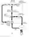 Fig. 19 - BIOINFORMATICS TOOLS, SYSTEMS AND METHODS FOR SEQUENCE ASSEMBLY