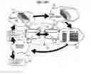 Fig. 22 - BIOINFORMATICS TOOLS, SYSTEMS AND METHODS FOR SEQUENCE ASSEMBLY