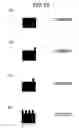 Fig. 35 - Information code, information code producing method, information code reader, and system which uses information code