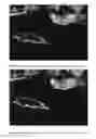 Fig. 06 - Video stream evaluation