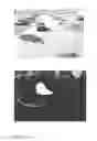 Fig. 22 - Video stream evaluation