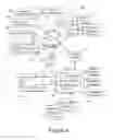 Fig. 07 - AUTOMATED SYSTEM FOR RATING EMPLOYEE SCREENING PRACTICES AND CORPORATE MANAGEMENT