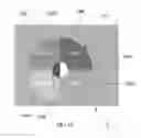 Fig. 19 - TASTE PROFILE AND BEVERAGE DISTRIBUTION METHOD