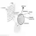 Fig. 01 - Method and apparatus for an inter-cell shortest communication